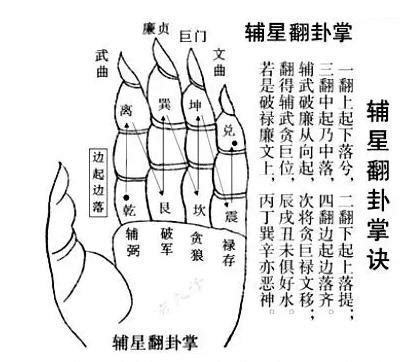 陽水 陰水